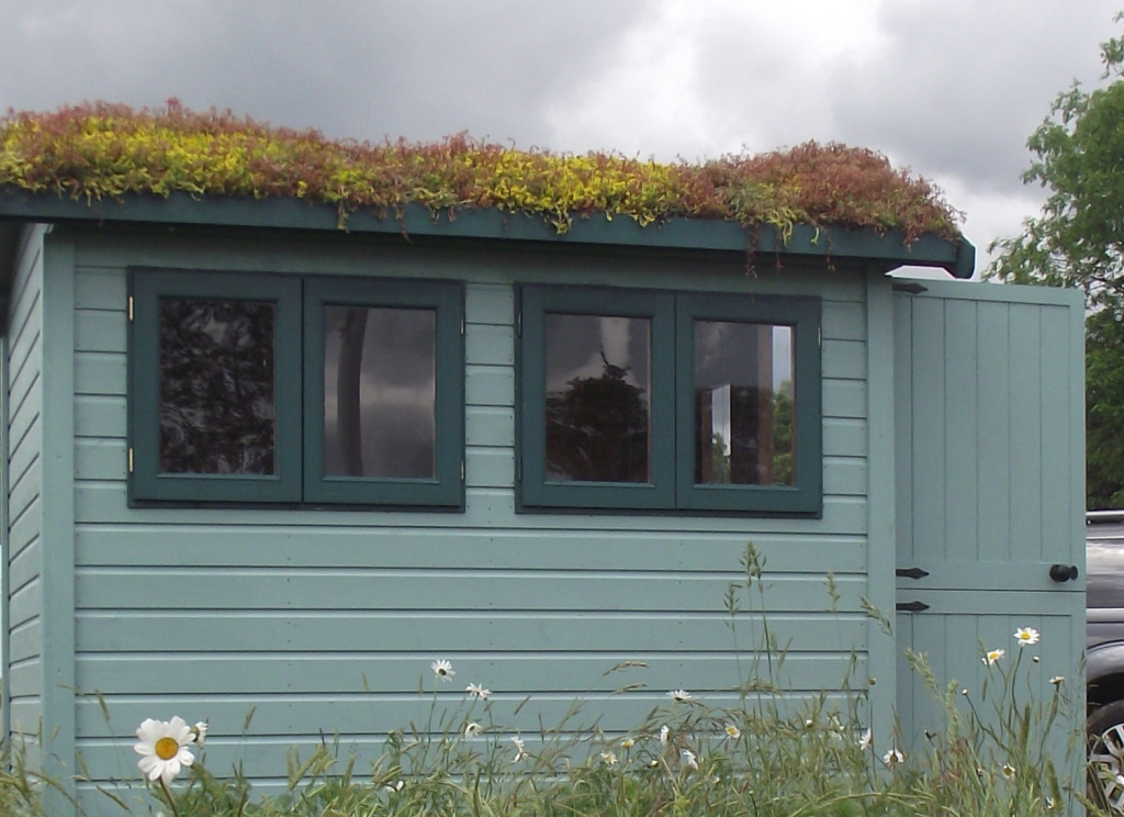 green roof shed