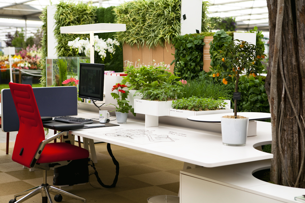 Indoor Garden Design Ltd