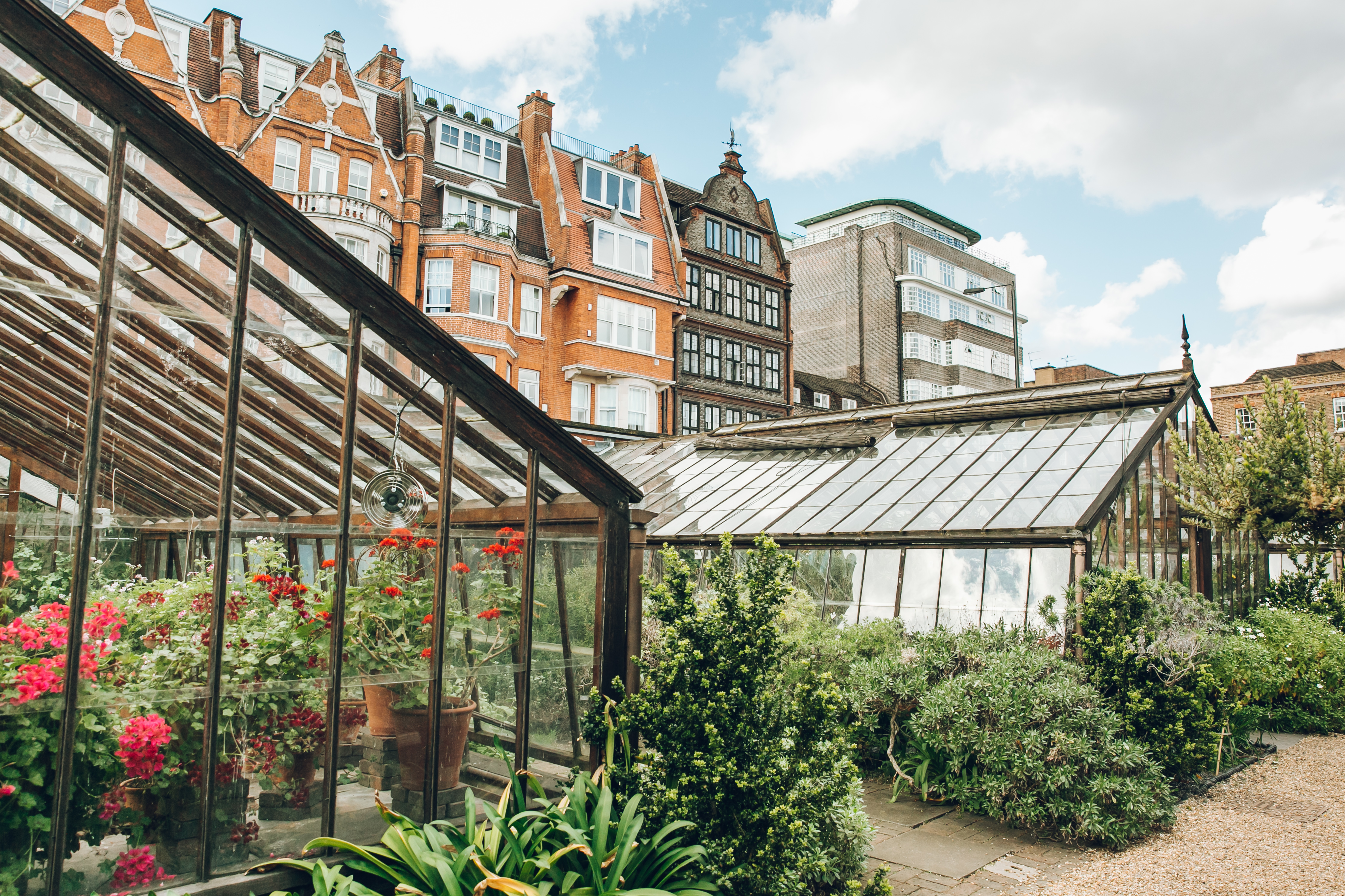 Chelsea Physic Garden Wins National Lottery Support For Glasshouse ...